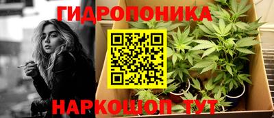 дмт Донской