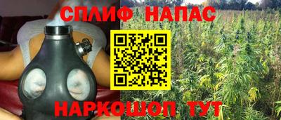 дмт Донской