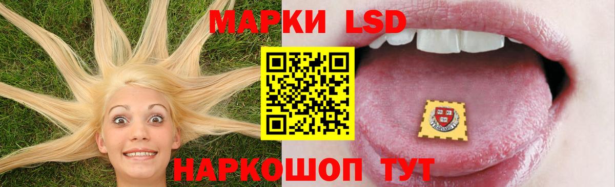 Кингисепп  Лсд 25 экстази кислота  Вход с VPN  LSD-25 экстази  ЛСД экстази ecstasy 