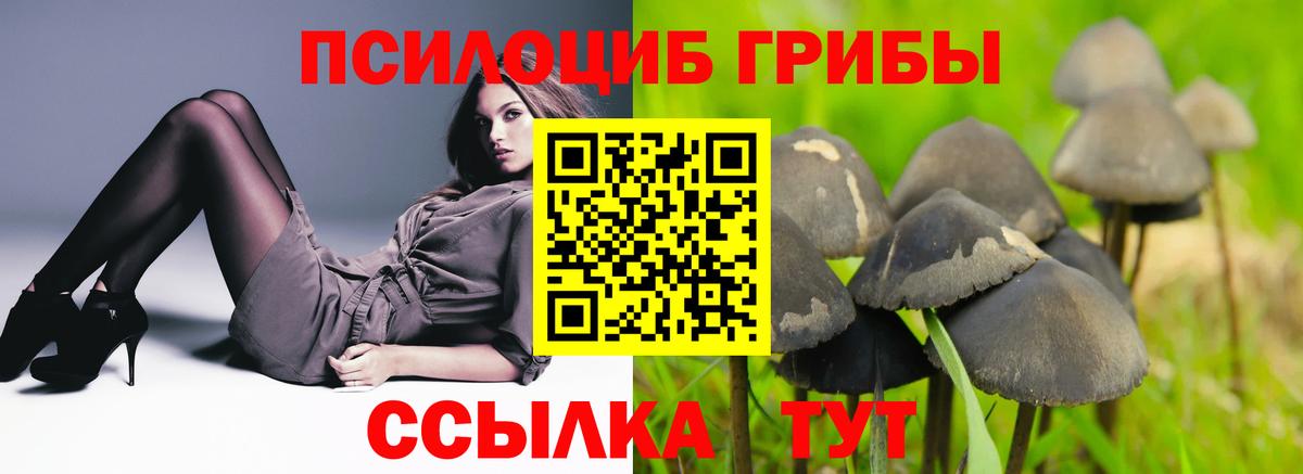 Галлюциногенные грибы MAGIC MUSHROOMS  Вход с VPN  Псилоцибиновые грибы GOLDEN TEACHER  Кингисепп 